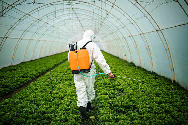 Best Best Pest Control Companies  in St James, MN