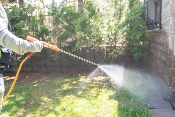Best Termite Control Services  in St James, MN