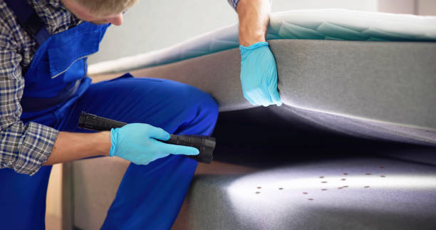 Best Pest Control Cost  in St James, MN